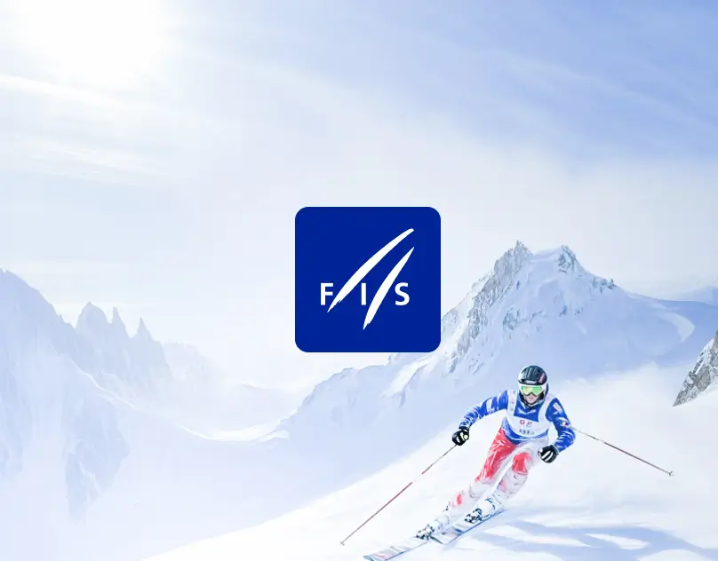  FIS / UI Product design